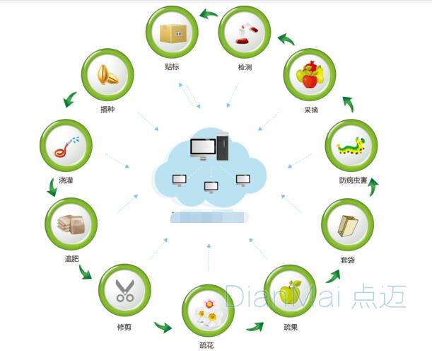 食品追溯管理系统