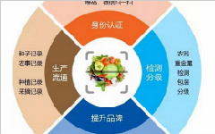 二维码质量追溯系统是如何实现全程追溯的？